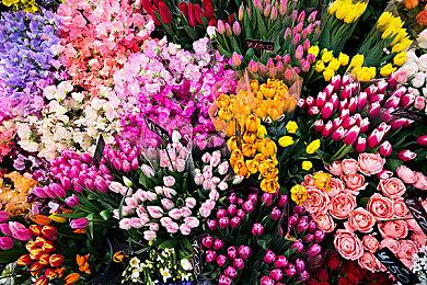 《匿名代码》现已推出PS4试玩版 7月28日正式发售