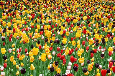 《宇宙机器人》最受玩家欢迎 《Concord》预告好评率仅18%